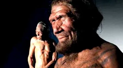 neandervölgyi