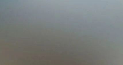 заштита