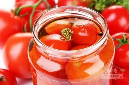 Hogyan kell tartani a paradicsom