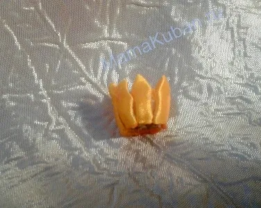 Kanzasi dáliák mesterkurzus