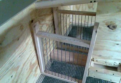 Nyúl hutches kezüket rajz