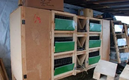 Nyúl hutches kezüket rajz Nyúl hutches kezüket rajz