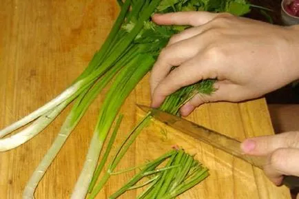 Hogyan kell kitölteni okroska