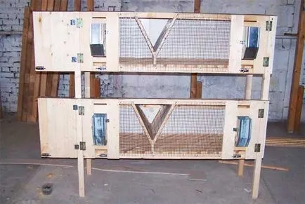 Nyúl hutches kezüket rajz Nyúl hutches kezüket rajz