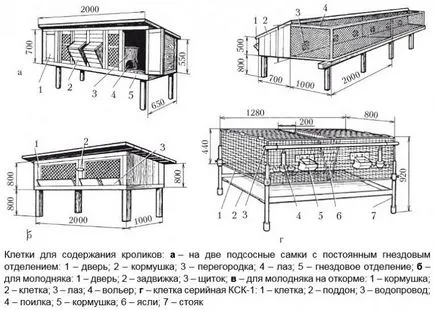 Nyúl hutches kezüket rajz Nyúl hutches kezüket rajz