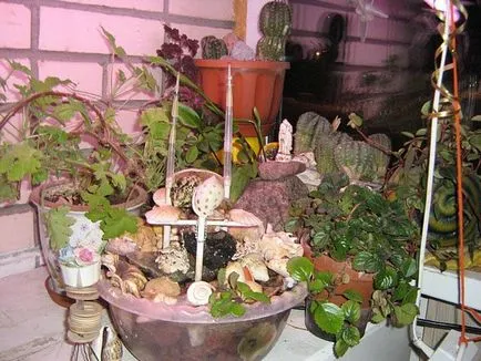 Hogyan készítsünk otthon szökőkutak Hogyan készítsünk otthon szökőkutak