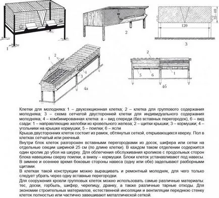 Nyúl hutches kezüket rajz Nyúl hutches kezüket rajz