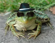 Frog, mint egy férfi
