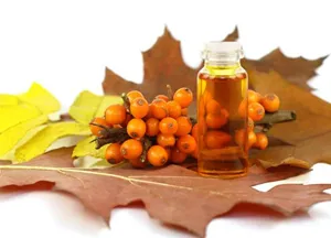 Emésztőrendszeri kezelés népi jogorvoslati Emésztőrendszeri kezelés népi jogorvoslati