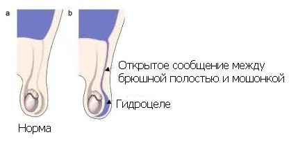 Műveletek az otthoni