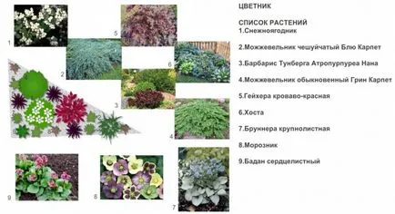 mixborder rendszer évelők