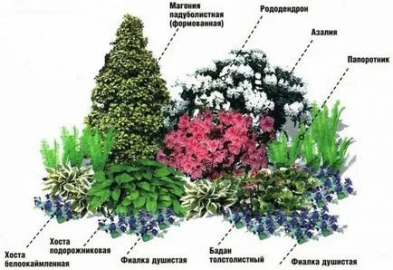 mixborder rendszer évelők
