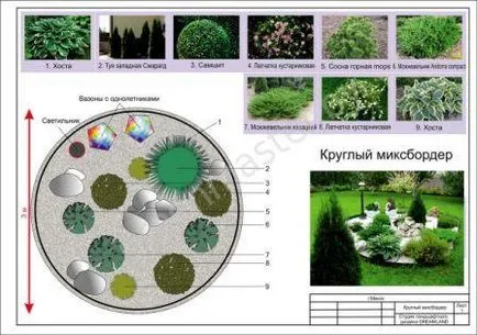 mixborder rendszer évelők mixborder rendszer évelők