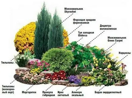mixborder rendszer évelők