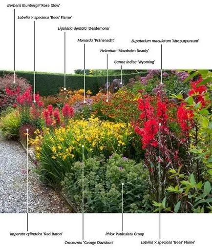 mixborder rendszer évelők mixborder rendszer évelők