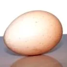 kezelésében