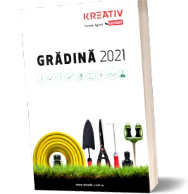 kreativ