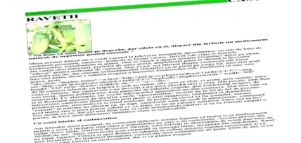 csíp