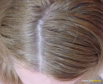 Loreal hajszín felülvizsgálat Loreal hajszín felülvizsgálat