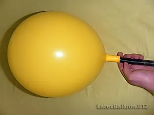 A nyakkendő labdák