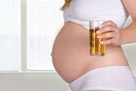 Hogyan növelhető a fehérvérsejtek a vizeletben