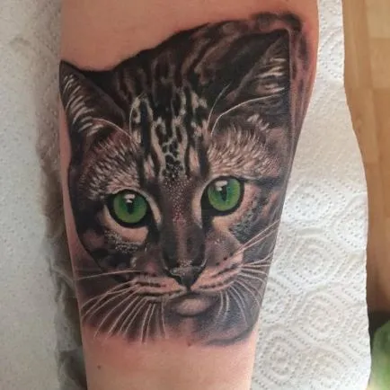 Tetoválás a macskák