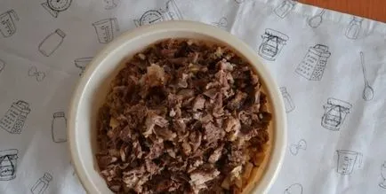 Saltisons mi ez