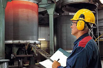 A hangok a fülben, ami A hangok a fülben, ami