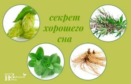 Mi, hogy a komló