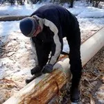 Hogyan tisztítsa meg a kéreg Hogyan tisztítsa meg a kéreg