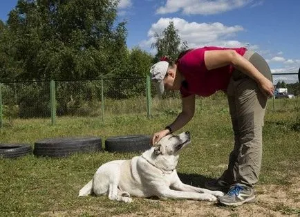 Mi a teendő, ha a kölyök whines Mi a teendő, ha a kölyök whines