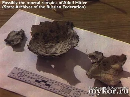 Ahogy beszélgettünk Hitler