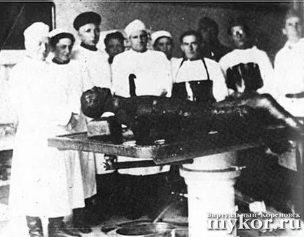 Ahogy beszélgettünk Hitler