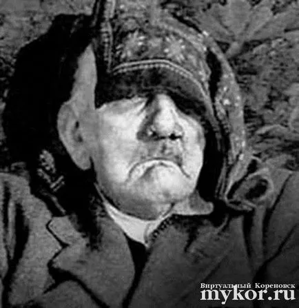 Ahogy beszélgettünk Hitler
