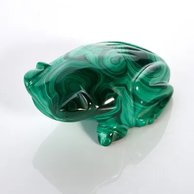 Frog, mint egy férfi