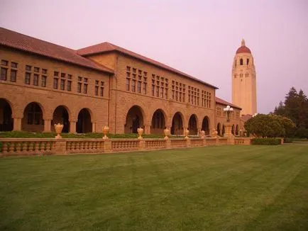 Mi Stanford