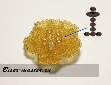 Hogyan erősít a virágok Hogyan erősít a virágok