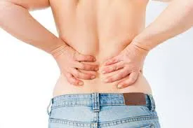 Ultrahang az urogenitális rendszer Ultrahang az urogenitális rendszer