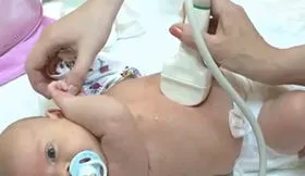 Uzi belső szervek a gyermek