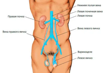 Műveletek az otthoni Műveletek az otthoni
