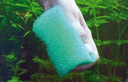 Halak, mint a nappali Halak, mint a nappali