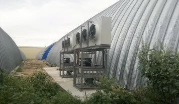 Hogyan kell tárolni a burgonya