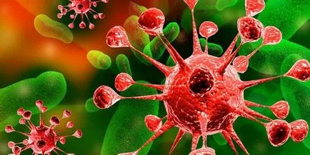 Hogyan lehet gyógyítani chlamydia Hogyan lehet gyógyítani chlamydia