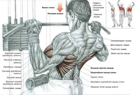 Workout kezdeni Workout kezdeni