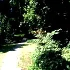 романски