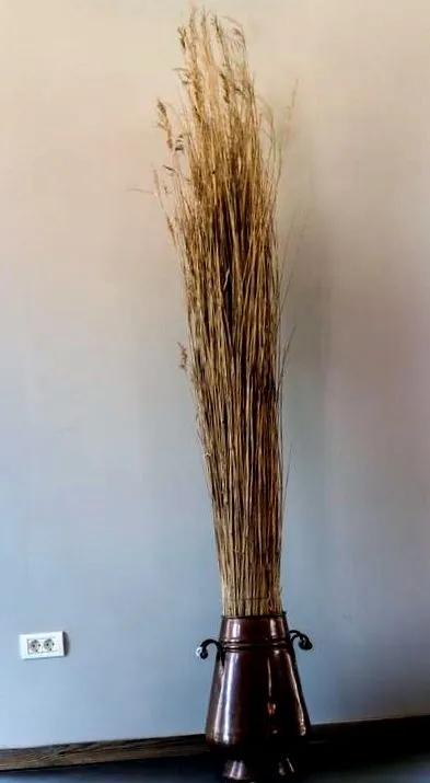dunavatu vendégház