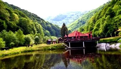 цибинулуи