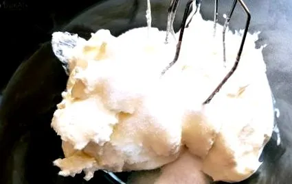 pavlova