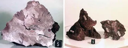 10 legnagyobb meteorit esett a földre, fotó hírek (mélység méter átmérőjű) 10 legnagyobb meteorit esett a földre, fotó hírek