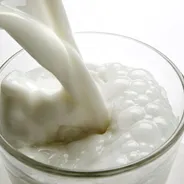 11 Foods, hogy kell enni, ha azt akarjuk, hogy az egészséges csontok